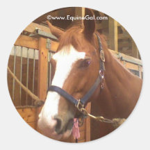 Autocollant quart de cheval