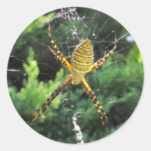 Autocollant réuni de ~ d'araignée de jardin