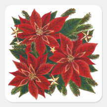 Autocollant rouge de poinsettia