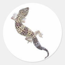 Autocollants 01 de Gecko