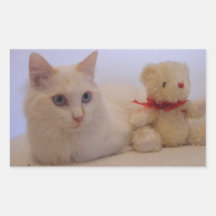 autocollants assez blancs de minou