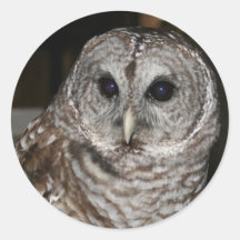 Autocollants de hibou barré