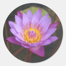 Autocollants de Lotus