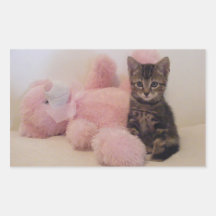 autocollants de minou et de nounours
