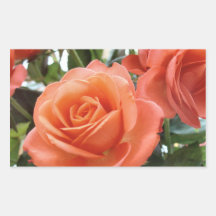 Autocollants de roses