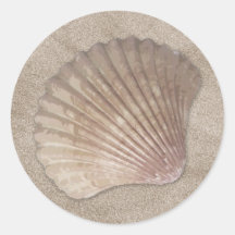 Autocollants de Shell de mer