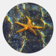 Autocollants d'étoiles de mer