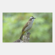Autocollants d'oiseau