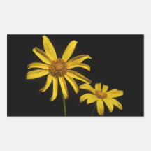 Autocollants jaunes de fleur
