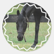 Autocollants noirs de cheval