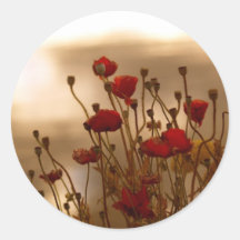 Autocollants rouges de fleur de pavots au soleil