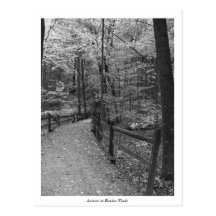 "Automne carte postale de Blendon à en bois"