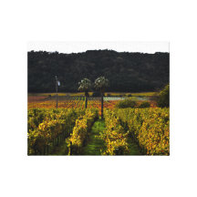 Automne dans le Napa Valley Toile Tendue