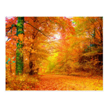 Automne du Vermont Carte Postale