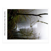 Automnes de sud cartes postales