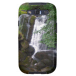 Automnes de Whatcom