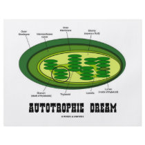 Autotrophic Dream (Biology Humour Food For Thought