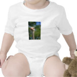 Autruche Bodies Pour Bébé