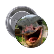 Autruche ce qui est vers le haut de bouton badges avec agrafe