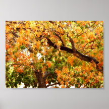 Autum Print