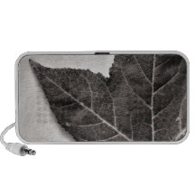 Autumn 1 speaker