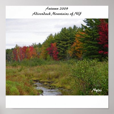 Autumn 2009 Adirondack Mountain... by nhmgifts
