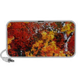 Autumn Afternoon #2 - Painting Art Doodle Speakers