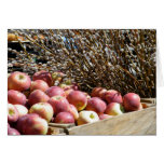 Autumn Apples Greeting Cards