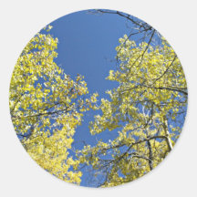 Autumn Aspens Round Stickers