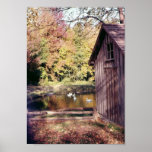 Autumn at Bronte Creek