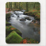Autumn at Golitha Falls Mousepad