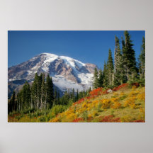 Autumn at Mount Rainier Poster