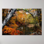Autumn At Petrifying Springs Print