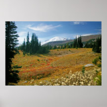 Autumn at Rainier Print