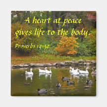 Autumn at the Duck Pond Fridge Magnets