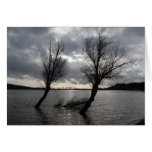 Autumn At The Lake Cards