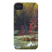 Autumn at the Pond for iPhone 4 iPhone 4 Cases