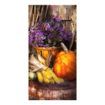 Autumn - Autumn is festive