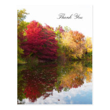 Autumn Beauty Sympathy Thank You Postcard