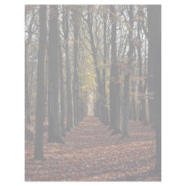 Autumn beech wood, rural Netherlands in Europe Letterhead Design