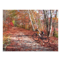 Autumn Bike Ride ~ Photo