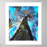Autumn Blue Posters