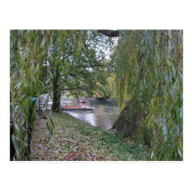 Autumn by the River Cam Postcard