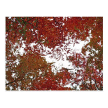 Autumn Candy Postcard