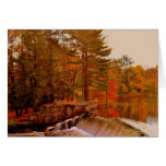 AUTUMN CARDS