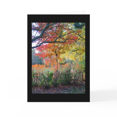 Autumn Greeting Cards by peterspooner
