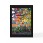 Autumn cards