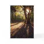 Autumn |