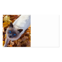 Autumn Cat Business Card Template