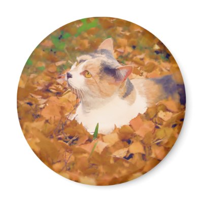 autumn cat magnets by ashroc